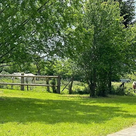 Sublime Propriete Normande Veritable Havre De Paix Danestal