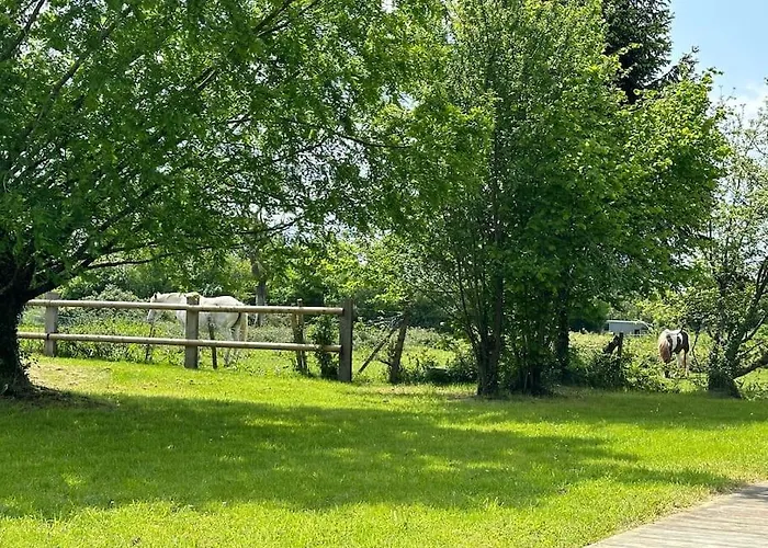 Sublime Propriete Normande Veritable Havre De Paix Danestal